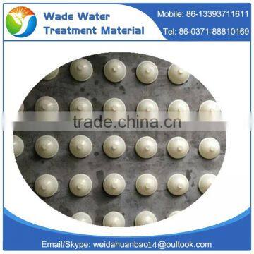 2016 High Quality PP 25mm Clear Plastic Hollow Balls Clear Plastic Round Ball photo-3