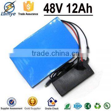 Wholesale OEM li-ion battery pack nimh battery pack for Electric Vehicle with BMS Charger