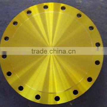 Ansi B16.5 Stainless Steel 1.4308 Ss316 Blind Forged Flanges photo-4