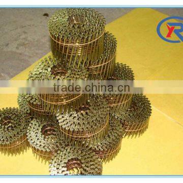 China High Quality Galvanized Coil Roofing Nails photo-2
