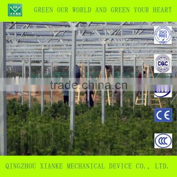 Single-Span Sunlight Seeding Greenhouse in China