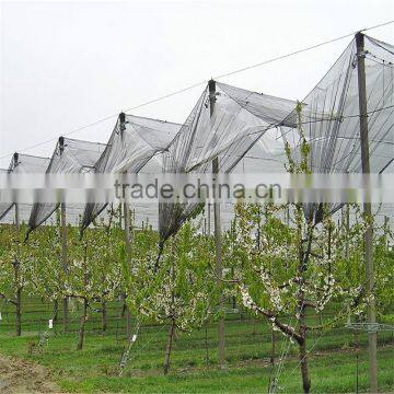 Customed Vineyard Anti Hail Nets Horticultural Fruit Protection Netting photo-4