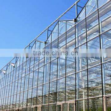 Glass Greenhouse-1