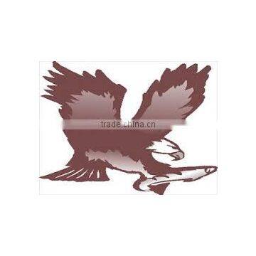 Atlantic Lobster - Live photo-2