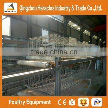 Heracles Trade Assurancechicken Cage Layer Poultry Farm House Design photo-3
