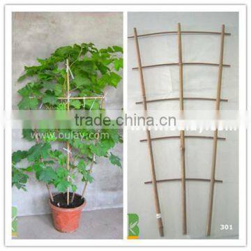 bamboo pot grape trellis for supporting plant