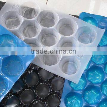 Best Price Vacuum Formed Large Plastic Compartment Tray For Fresh Fruit Export Packaging photo-4