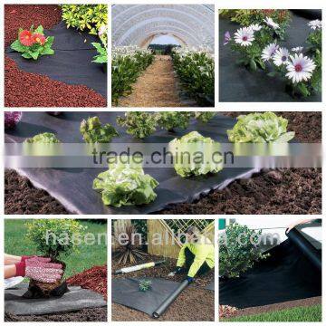 High Quality Competitive Price PP Non-woven Outdoor Plant Covers