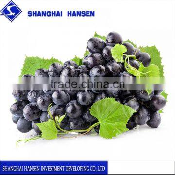 Black Grapes import agent and customs clearance in shanghai