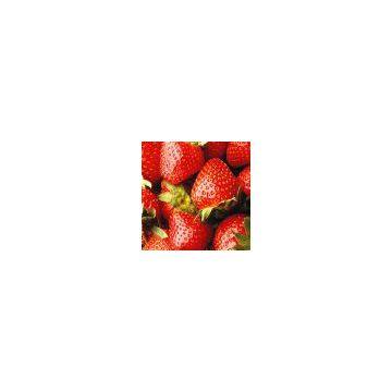 Inkjet Clear,Backlit PET Film
