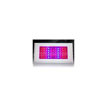 High Power 360W 550mA Dimable Professional LED Grow Light With10 Modules for Hydroponics