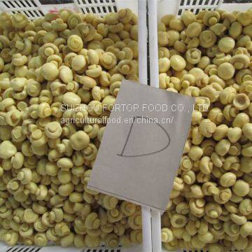 Factory Price Premium Brined Mushroom Whole in Drum