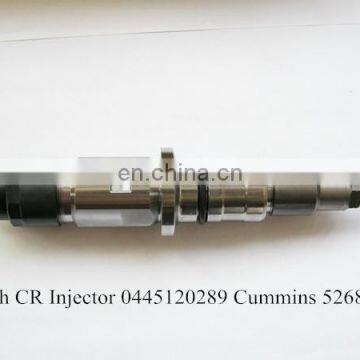 0445120289/ 0 445 120 289Original Common Rail Injector OEM NO. 5268408