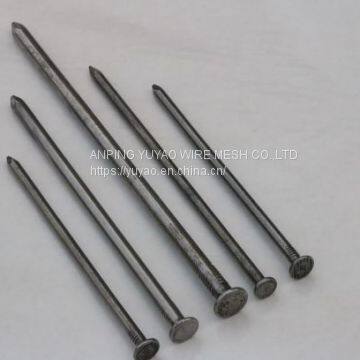 Galvanized Common Wire Nail Nails With Price iron nails