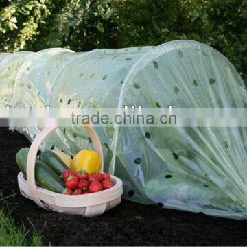 Garden Plastic Tunnel Greenhouse with PE cover