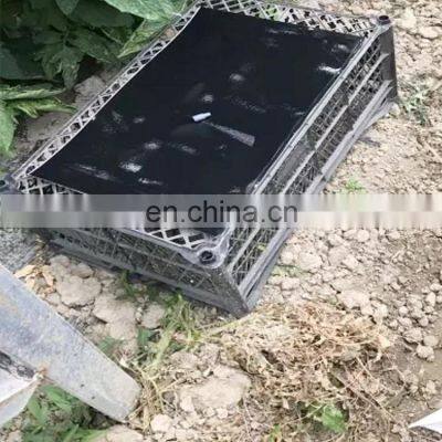 Double Sided Pheromone Glue Trap Insect Fly Traps China Kill Fruit Flies Black Strong Glue+paper+fly Bait 2 Year All-season