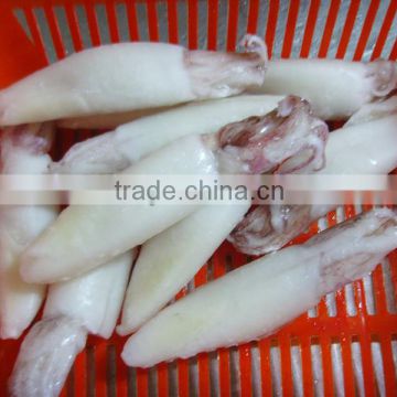 Frozen whole cleaned squid from south east China