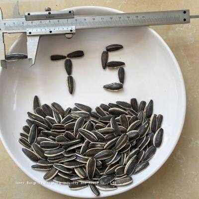 striped sunflower seeds raw in shell confectionery