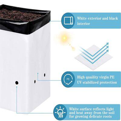 Black & White Nursery Pots PE Plastic Seedling Plant Grow Bags With Breathable Holes Rooting Bags Poly Grow Bags photo-2