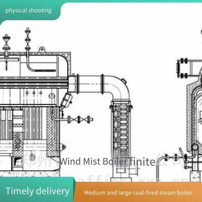 Supply of 6-ton Automatic Chain Biomass Steam Boiler Dzl6-1.25t-scii Steam Boiler