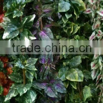 Flower rattan evergreen leaves decorate/The fashion wall decoration