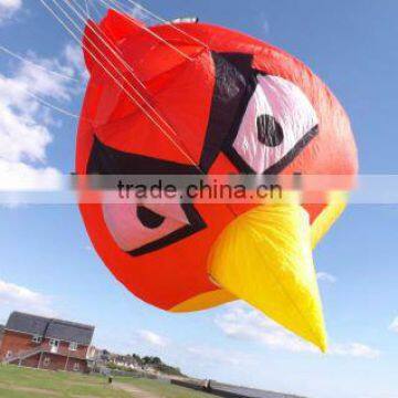 New Design Kite photo-1