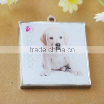 dog heart pendant, Pet pendant, dog picture pendant