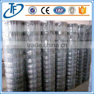 Professional Manufacturer Cheap Galvanized Wire Farm Fence for Cattle/sheep photo-6
