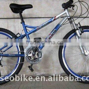 Mountain bike