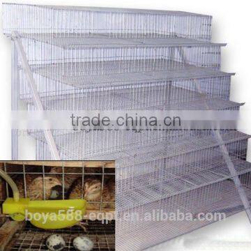 Wire Mesh Cage Quail Cages for Poultry Farm photo-2