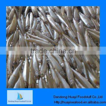 High quality frozen whole pond smelt