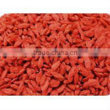 Spray dried Goji powder wolfberry powder kosher