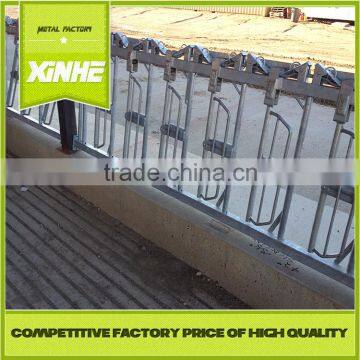 Hot dip galvanised 10ft hot dip galvanized dairy cow headlock