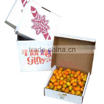 white corrugated box for fruit packaging