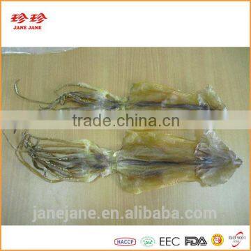 Dried Squid- Illex