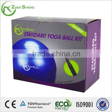 Zhensheng 65cm Gym Ball
