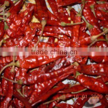 Red chillies with stem