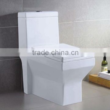 International standard Ceramic One Piece Toilet DA214