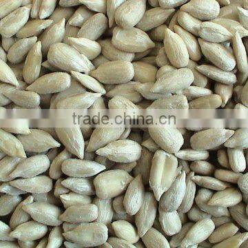 Sunflower seed kernels