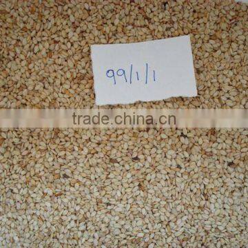 White Sesame Seeds