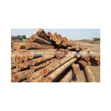 meranti wood