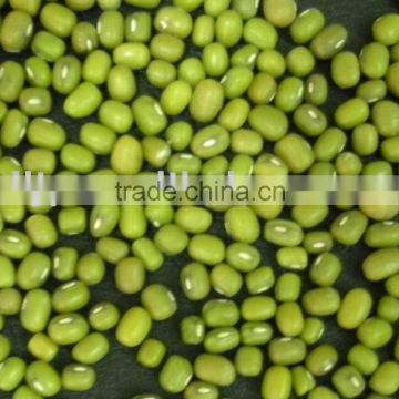 Green Mung Bean