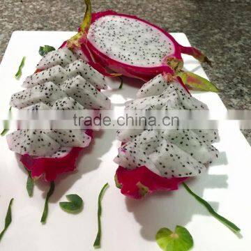 Dragon Fruit photo-2