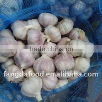 Chinese Fresh Normal White Garlic(10kg/20kg Carton)