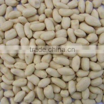 BLANCHED PEANUT KERNEL 50/60