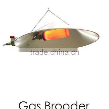 Poultry heating system