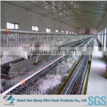 h type design layer chicken cage for poultry farm