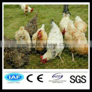 Competitive chicken coop wire netting