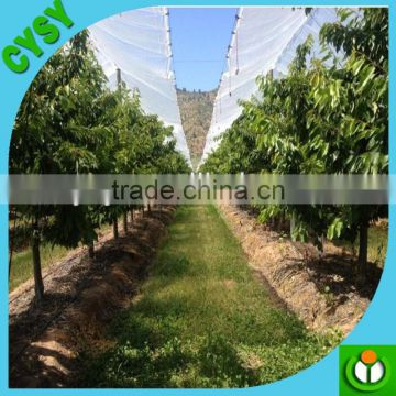 Chile plastic protection rain cover for orchard tree / woven cover cherry from rain