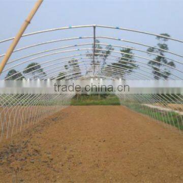 Low Cost Plastic Covered Metal Hoop Greenhouse photo-5